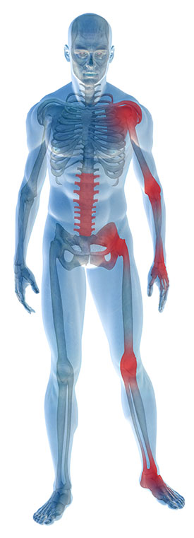 anatomy of human man graphic